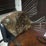 Peixe – Sérgio Canale