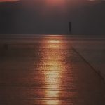 Garça no por do sol – Carlos Kilian