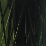 Sem Título – Gabriel Fernandes da Fonseca