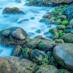 Contemplação – José Luiz Martins Paiva