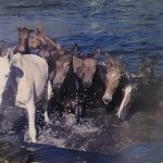 Cavalos – Ricardo Bampi