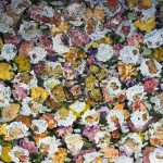 Flores I – Vânia Paludo